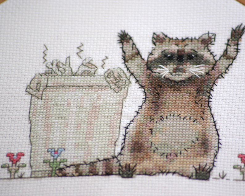 raccoon1